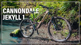 Cannondale Jekyll 1 Long Term Review  High Pivot Mountain Bike Test [upl. by Riane]