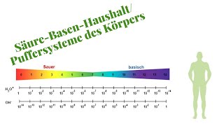 SäureBasenHaushalt Komplett erklärt für die Heilpraktikerprüfung [upl. by Siramad]