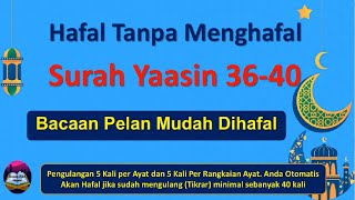 Hafal Tanpa Menghafal Surah Yaasin Ayat 3640 Cara Orang Awam Metode Tikrar Pengulangan [upl. by Lemraj]