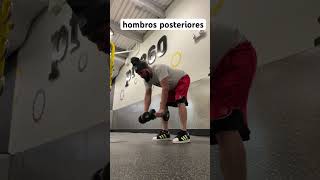 hombros posteriores fitness hombrosposteriores motivacion musculo [upl. by Wrigley]