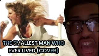 Taylor Swift  The Smallest Man Who Ever Lived Official Cover [upl. by Ecire]