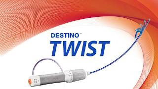 Destino Twist Intro [upl. by Ytsim]