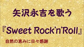 『Sweet RocknRoll』／矢沢永吉を歌う536 by 自然の恵みに日々感謝 [upl. by Haymo]