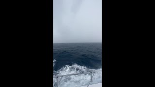 Ocean lightning strike near Jupiter during strong storms [upl. by Anailuj]