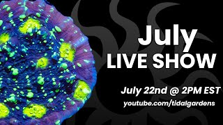 Tidal Gardens July 2023 Live Show [upl. by Jovi820]