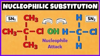 Nucleophilic Substitution Reactions  SN1 Reaction and SN2 Reaction [upl. by Sivart]