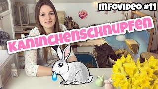 Kaninchenschnupfen  Infovideo [upl. by Elletsirhc964]