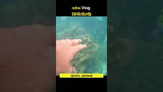 Tailand Phi Phi Island Trip SumanNayakVlogs [upl. by Euqinomahs331]