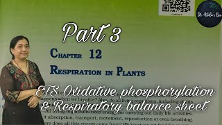 Respiration in Plants Part3  Class 11 Biology  NCERT NEET [upl. by Nimzay848]