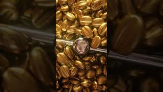 Golden Coffee Beans  NESCAFE Gold Coffee [upl. by Thane]