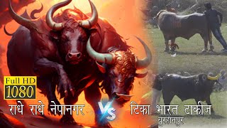 Unveiling the Intense Rivalry Radhe Radhe Nepanagar Vs Tika Bharat talkies [upl. by Irrabaj]