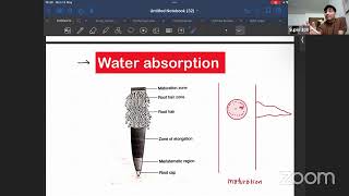 Physiology 5  Water potential  plasmolysis  super 100  New admission  Cee  Super 100 [upl. by Arev953]