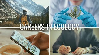 The 4 Types of Careers in Ecology  Careers in Biology and Environmental Science [upl. by Eciened]