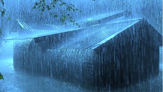 Insomnia Relief in 3 Minutes with Powerful Rainstorm and Heavy Thunder Sounds on a Tin Roof at Night [upl. by Derick54]