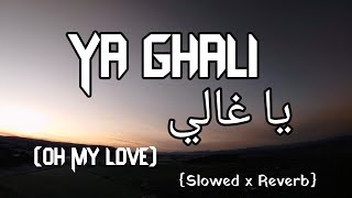 Ya Ghali  Lofi Version  Latest Arabic Song  LofiMixO Slowed x Reverb  Rola Kadri [upl. by Rosse420]