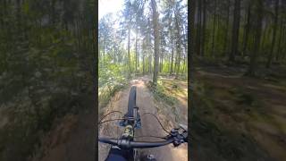 Mountainbike Trail  Einflugschneise alternatives Ende [upl. by Anelrats295]