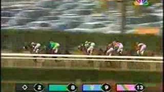 2005 Breeders Cup Classic [upl. by Orth611]