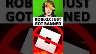 Roblox Banned [upl. by Ansel]