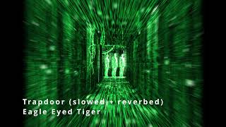 Trapdoor slowed  reverbed by Eagle Eyed Tiger [upl. by Hgielrahc]