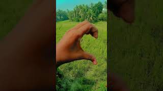 Ke kore bol toke bujhai shortvideo lovestatus lovesong ytshorts [upl. by Llenad]