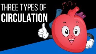 Three types of circulation in the body [upl. by Siroved]