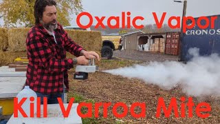 InstantVap Oxalic Acid Vaporizer Unboxing and How To Use [upl. by Anairad]