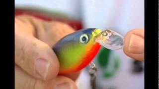 Rapala® XRap® Shad Shallow [upl. by Ehcadroj]