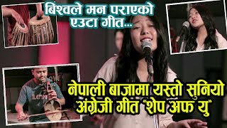 नेपाली बाजामा यस्तो सुनियो अंग्रेजी गीत ‘शेप अफ यु’ ll Ed Sheeran  Shape Of You  Cover  ll [upl. by Nickola]