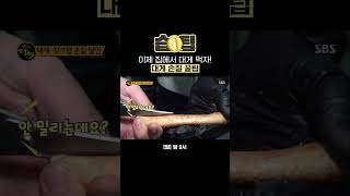 습팁📌 게 포크 없이 집에서 손쉽게 먹을 수 있는 대게 손질 방법 대방출😋  생활의 달인  SBS [upl. by Gardy]