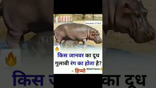 Amazing Facts About Hippo 🦛 shorts hippo facts viral [upl. by Rudin92]