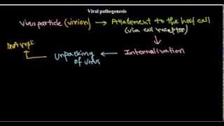 5 Viral pathogenesis introduction [upl. by Orlan]