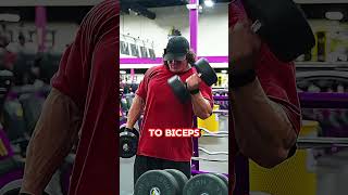 Sams ULTIMATE Workout For MASSIVE Arms💪😲 [upl. by Pickford33]