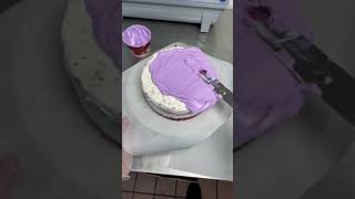 Satisfying purple ice cream cake [upl. by Narej]