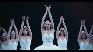 BALLET SWAN LAKE IN IMAX  Ballet  SterKinekor [upl. by Nwahsel617]