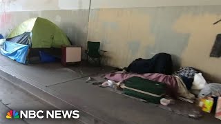 Homelessness in US reaches a record high federal report finds [upl. by Carmelia846]