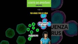 Qual é a diferença entre gripe e resfriado [upl. by Javier]