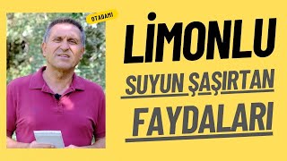 LİMONLU SU İÇMENİN FAYDALARI LİMONLU SUYUN FAYDALARI LİMONLU SU NASIL YAPILIR [upl. by Jeggar]