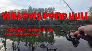 Tench and Carp on prawn and Fjuka bait Willows Hull [upl. by Alessig363]