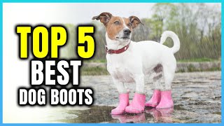 Top 5 Best Dog Boots  Extreme Reviewer [upl. by Tracee]