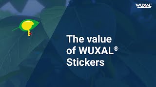 The value of WUXAL Stickers [upl. by Anehsat488]