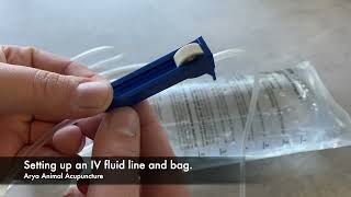 How to Set Up an Intravenous IV Fluid Bag For Your Pet At Home [upl. by Ecyt742]