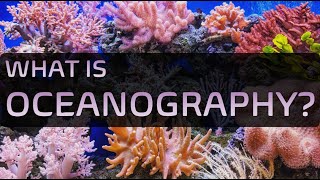 What is Oceanography ※ What do Oceanographers do [upl. by Anaerdna]