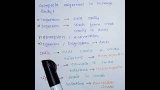 What Is Holozoic Digestion  Digestive System [upl. by Sell]