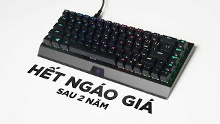 Bạn rất nên mua BlackWidow V3 Mini HyperSpeed SAU 2 NĂM Giảm 50 [upl. by Elaweda]