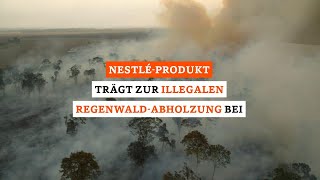 NestléProdukt trägt zur illegalen RegenwaldAbholzung bei [upl. by Anadal]