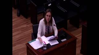 Dra Francisca DecebalCuza ante el Tribunal Constitucional [upl. by Nairbal]