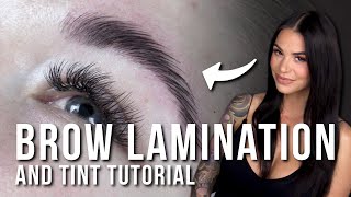 How to Do a Brow Lamination and Tint [upl. by Hilleary]