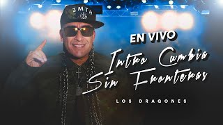 Los Dragones  Cumbia Sin Fronteras En Vivo en Bahía Blanca [upl. by Lapo]