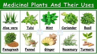 Medicinal Plants And Their Uses  25 Ayurvedic Plants Names  Medicinal Herbs  औषधीय पौधे  Plants [upl. by Ardnael]