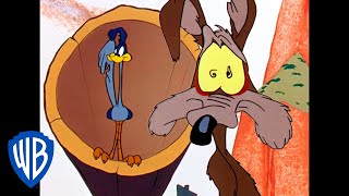 Looney Tunes  Ready Set Catch the Roadrunner  Classic Cartoon  WB Kids [upl. by Finnigan501]